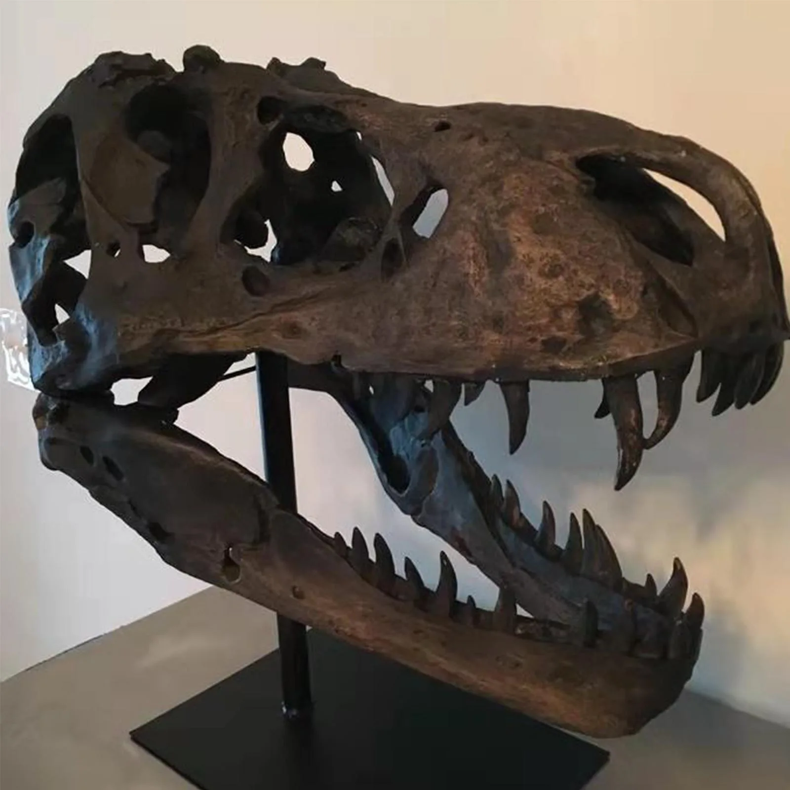 Replica Dinosaur Skull Resin Animal Skeleton Ornament Haunted House