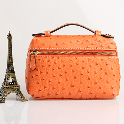 Fashion Designer Handbag Ostrich Pattern Portable Bag Clutch Bag 2022 Lady Hand Bag Purse Make Up Bag Trend Bag