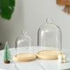 2sets/pack 9*11cm Ball Top Glass Dome Vase Home Deocration Flat Log Base Transparent Cover Wedding Live Prop Birthday Gift 6
