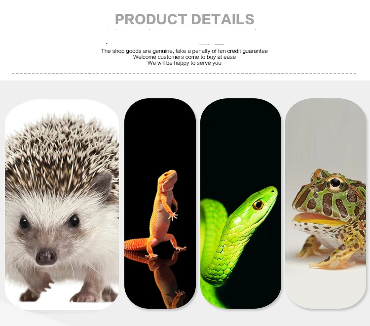 Reptile Tank Insect Spiders Tortoise Lizard Acrylic Transparent Breeding Box Vivarium Lid Reptile Pet Product Terrarium 2020 New Reptile Tank Insect Spiders Tortoise Lizard Acrylic Transparent Breeding Box Vivarium Lid Reptile Pet Product Terrarium 2020 New