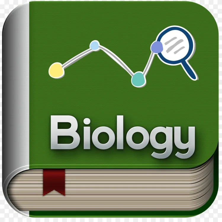 生物化学学习指导遗传学物理科学png图片素材免费下载 图片编号 Png素材网