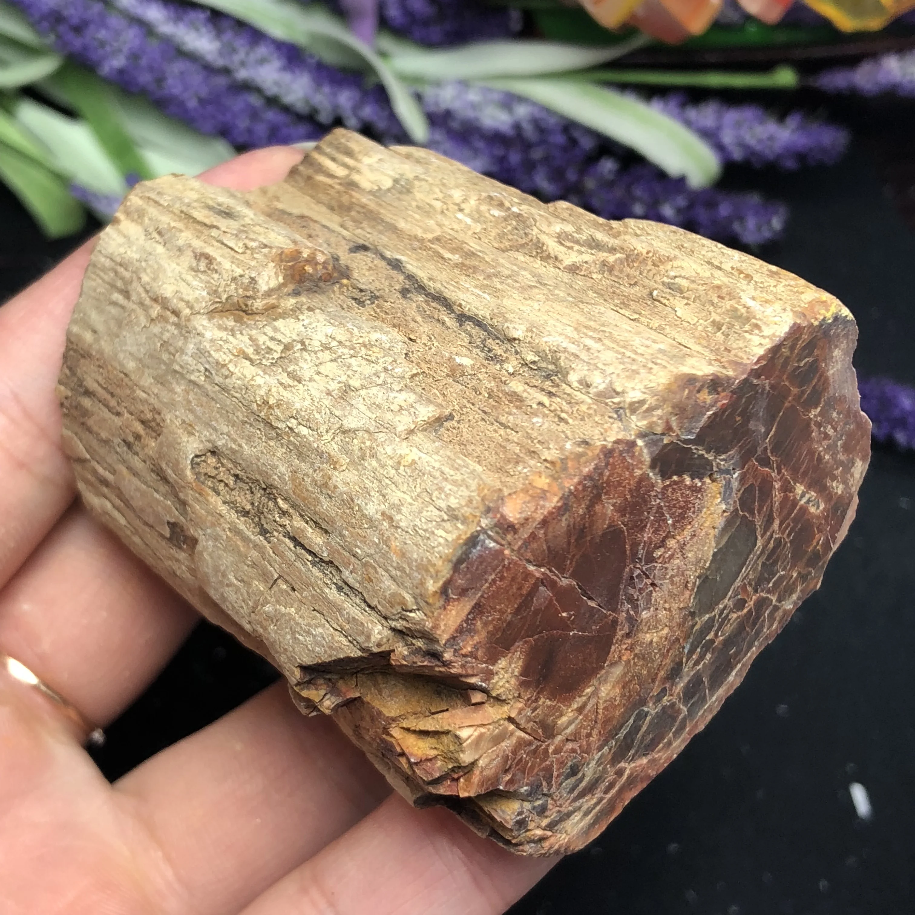 Натуральное окаменелое дерево fossil камень сырой камень, кристалл, кварц образец минерала исцеляющий рейки домашний декор