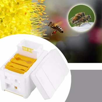 

Beehive Hive Box For Bee Mating Beekeeping Copulation Harvest Queen Pollination Beekeeping Queen Reserve Beekeeping Tool