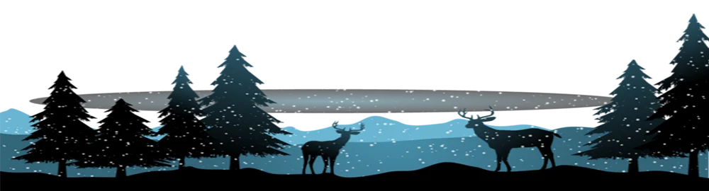 00000000000000000000