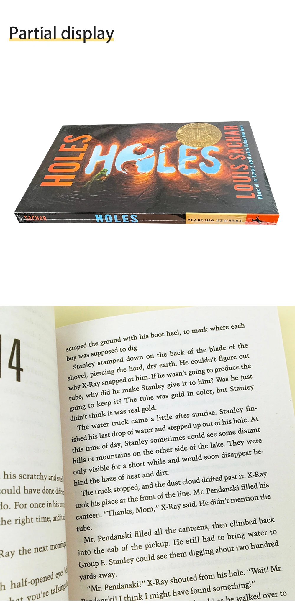 Holes by Louis Sachar in English original novels story book for teenagers  and children Award-winning books - AliExpress