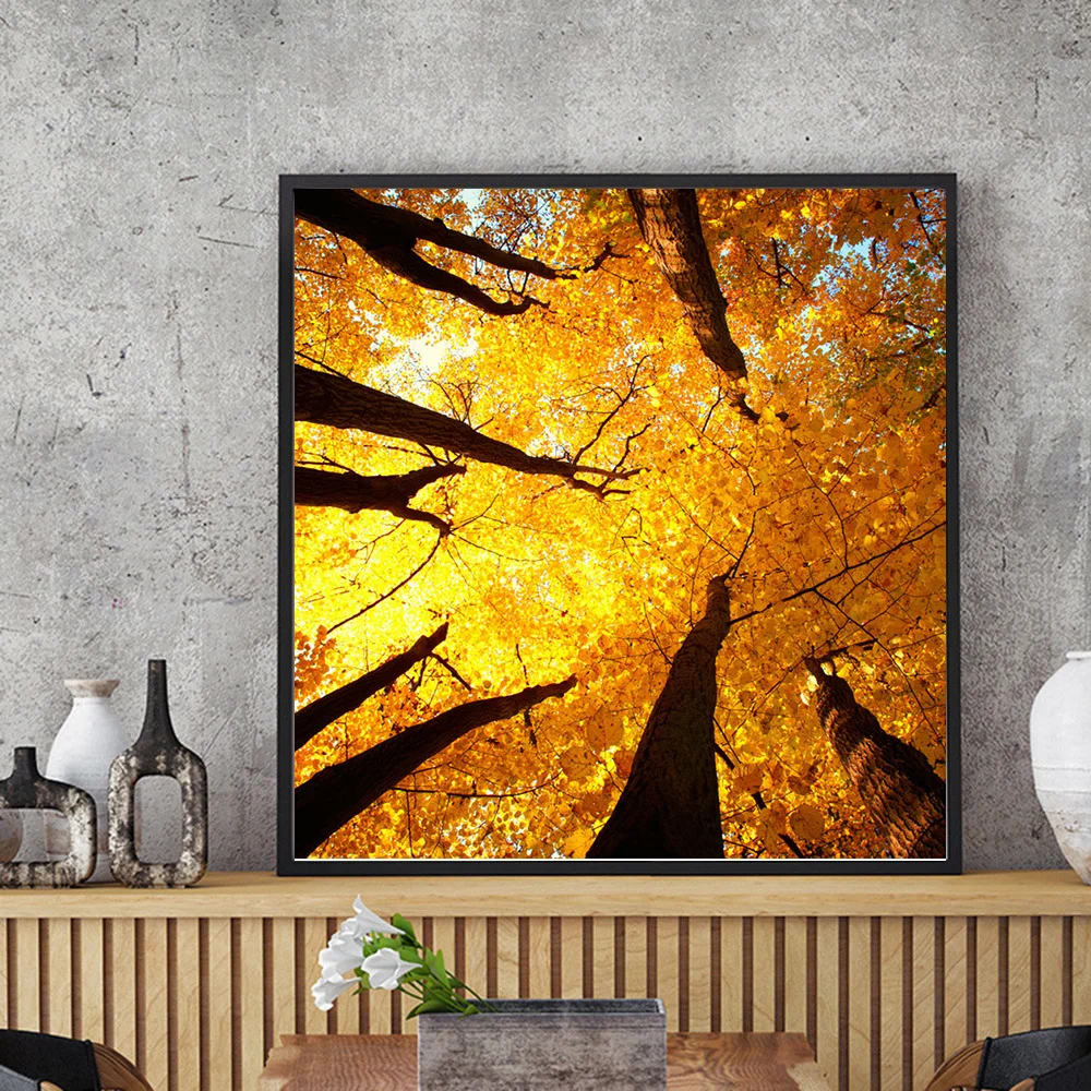 10 (1).jpg_.webp 10 (1).jpg_.webp