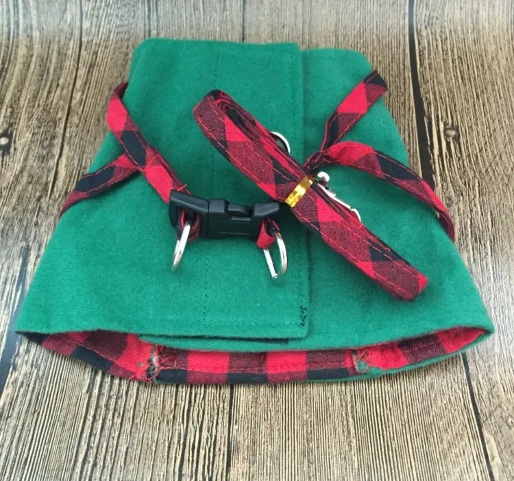 3764329506_1409840576