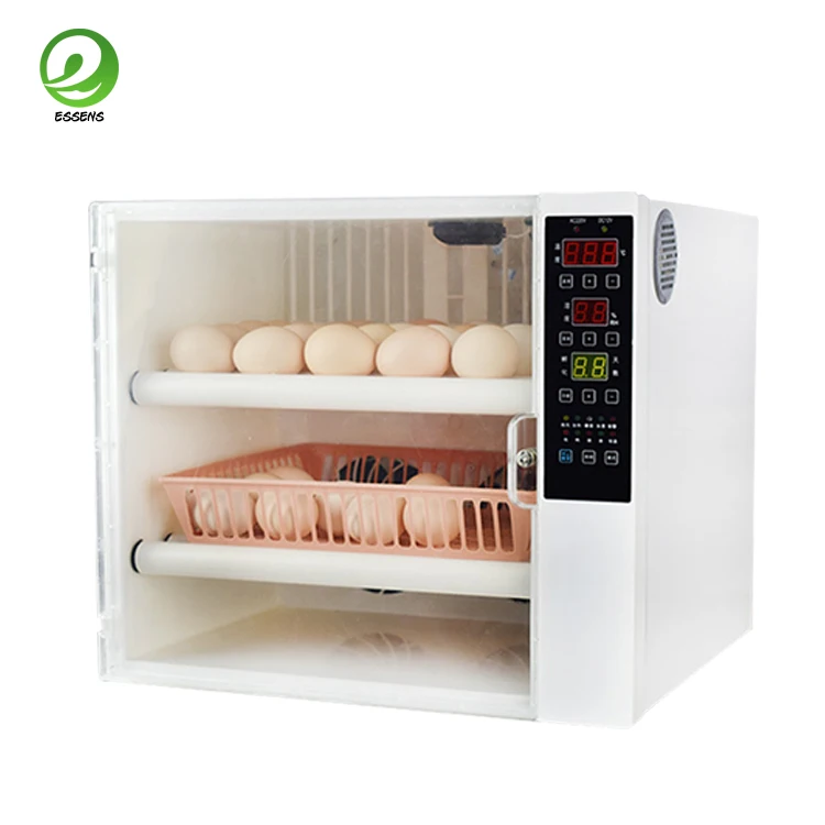 2019 Incubator 60 Chicken eggs mini egg incubator fully automatic 220V &12V Dual Voltage