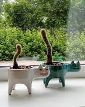 Maceta de cola de gato con personalidad de cerámica, cactus creativo, decoración sencilla de carne, animales de dibujos animados de escritorio