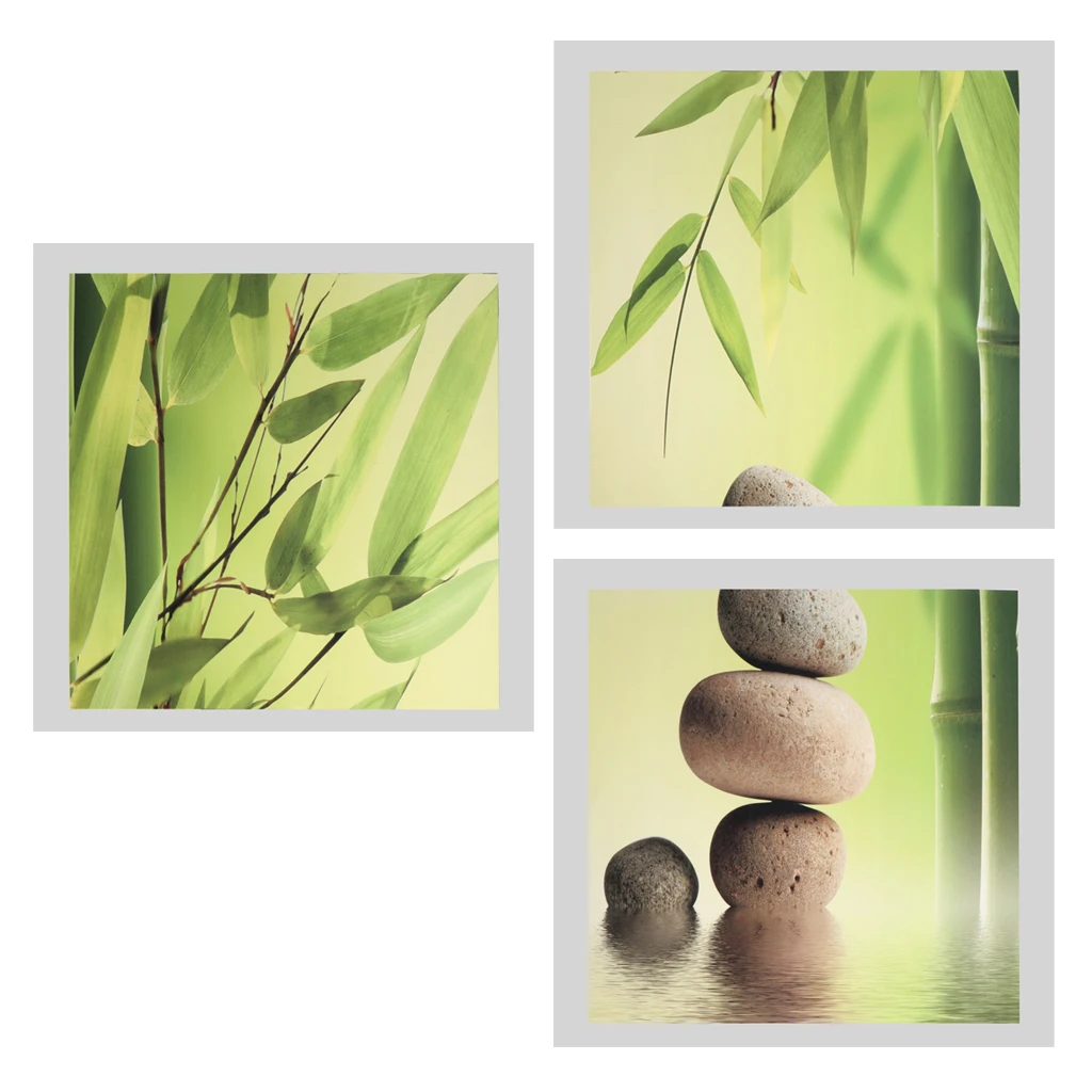 3Pcs Modern Art Oil Painting Canvas Picture Bamboo Wall Home Decor 40x40cm No Frame