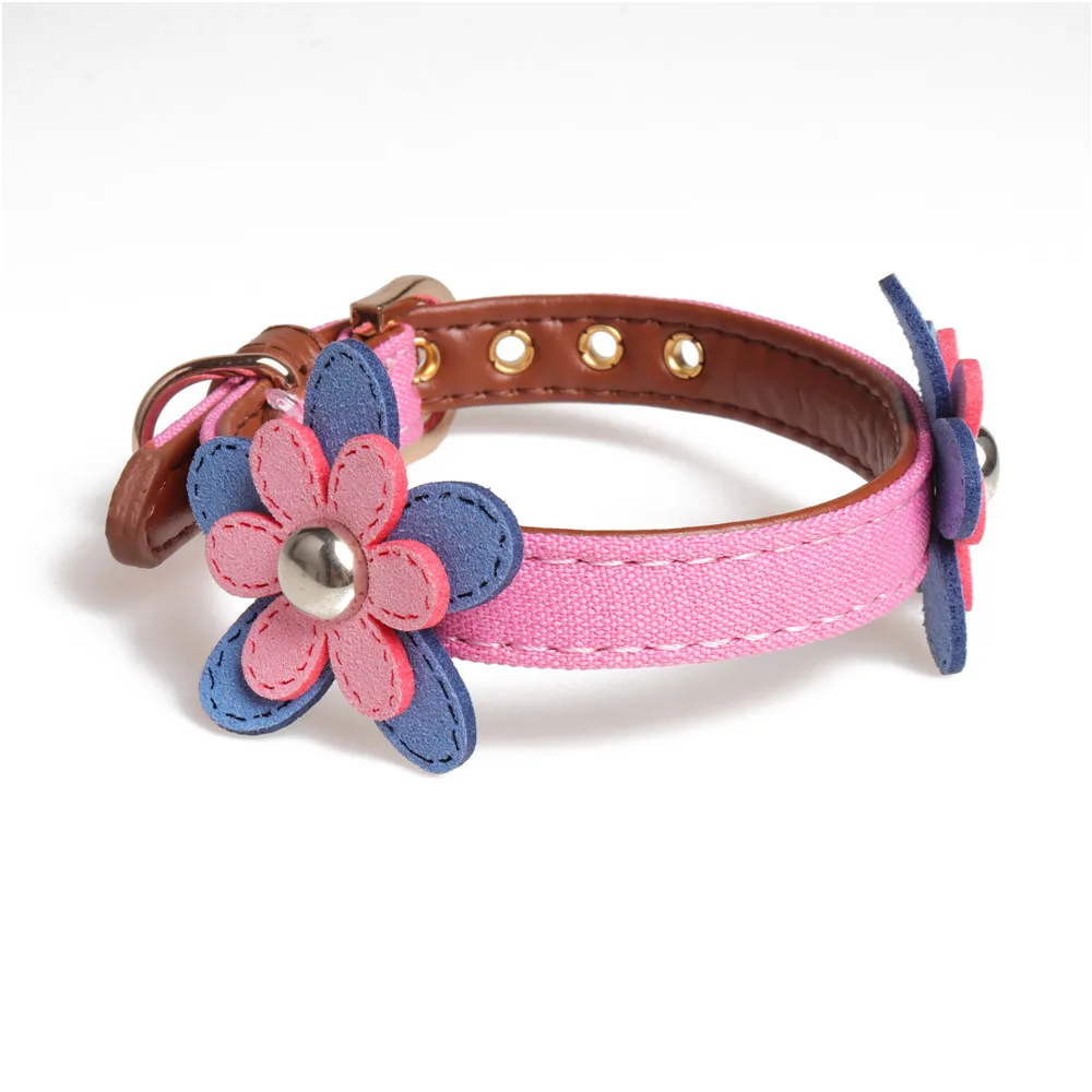 9087461013_307791824