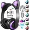Portable Audio 