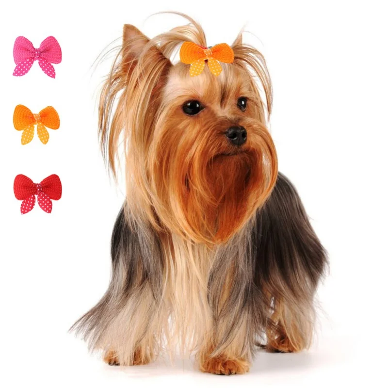 10PCS/Lot Assorted Pet Cat Dog Hair Bows Cute Pet Headwear for Small Dogs Hairpin Pet Hair Clip Headdress Pet Hair Accessories x