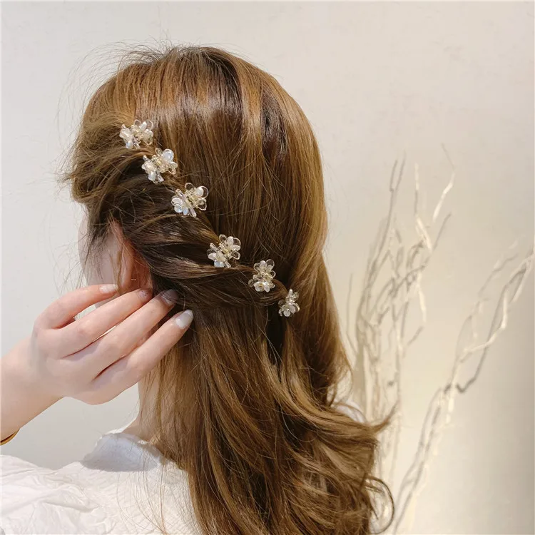 Mode Kleine Frische Einfache Transparent Blume Klaue Clip Weibliche Mädchen Krabben Haar Clip Mini Nette Zubehör Haar Perlen für Zöpfe – Detail 1