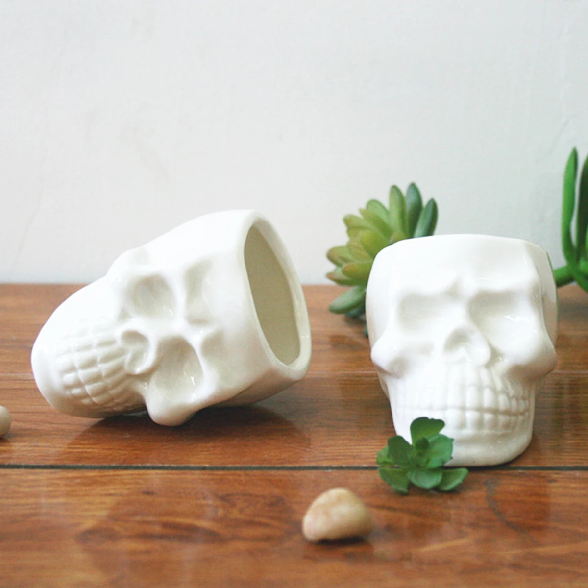 White Ceramic Cool Skull Capita Plant Potted Small Flower Pot Planter Succulent`