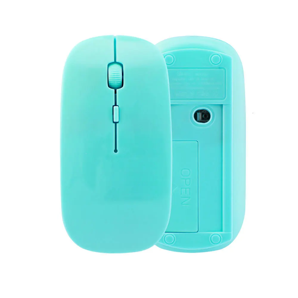 computer mouse
