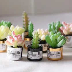 Mini plantes Cactus succulentes en pot, 2 pièces, modèle de jouets Minaituare, accessoires pour maison de poupée Barbie, décoration de maison de poupée 