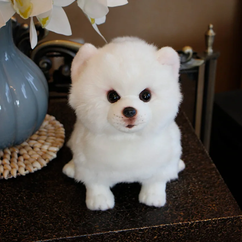 Baby Plush Toy Simulation Pomeranian Samoyed Pure White Dog Stuffed Animal Toy Super Realistic Dog Toy Home Decor Pet Child Gift Stuffed Plush Animals Aliexpress