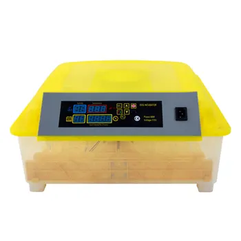 

【US Warehouse】56-Egg Practical Fully Automatic Poultry Incubator (US Standard)