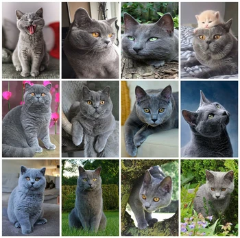 

Huacan New 5D Diamond Painting Full Square Cat Art DIY Diamond Embroidery Mosaic Animal Decorations Home