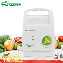 Sterhen Ozone Generator Vegetable Sterilizer Ozone Disinfector Air Purifier Ozone Output 400mg/h