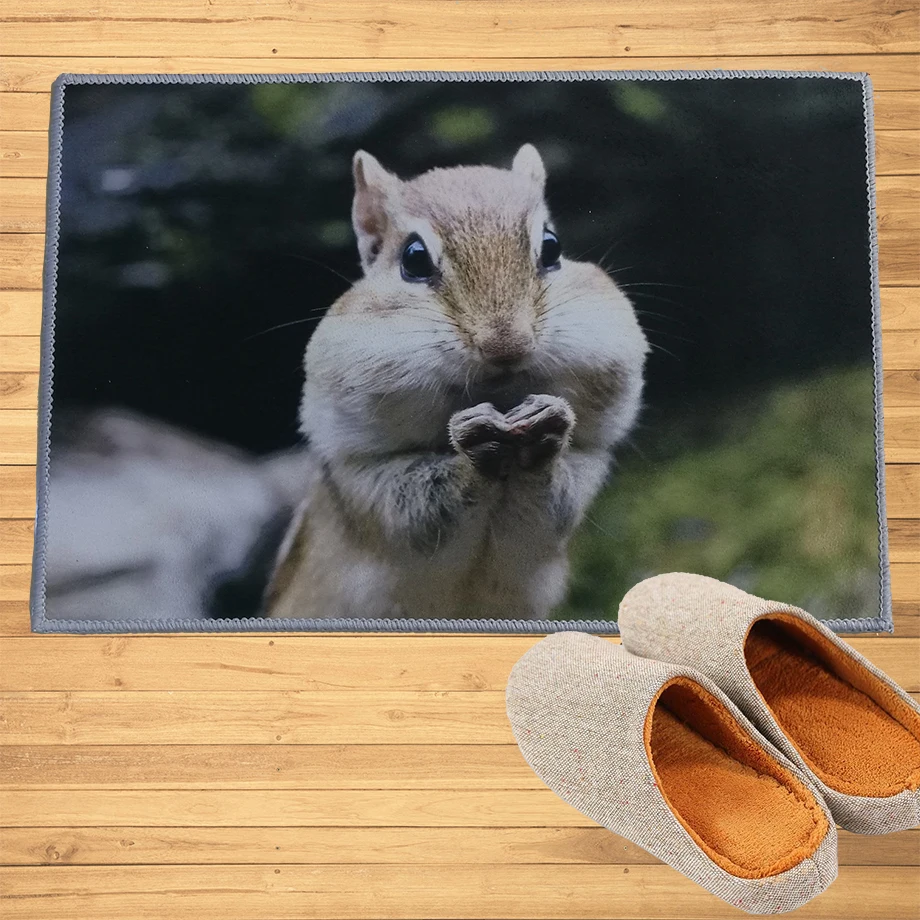Милые животные Chipmunk коврик коврики Прихожая дверной проем ванная кухня ковры коврики ковер украшение дома