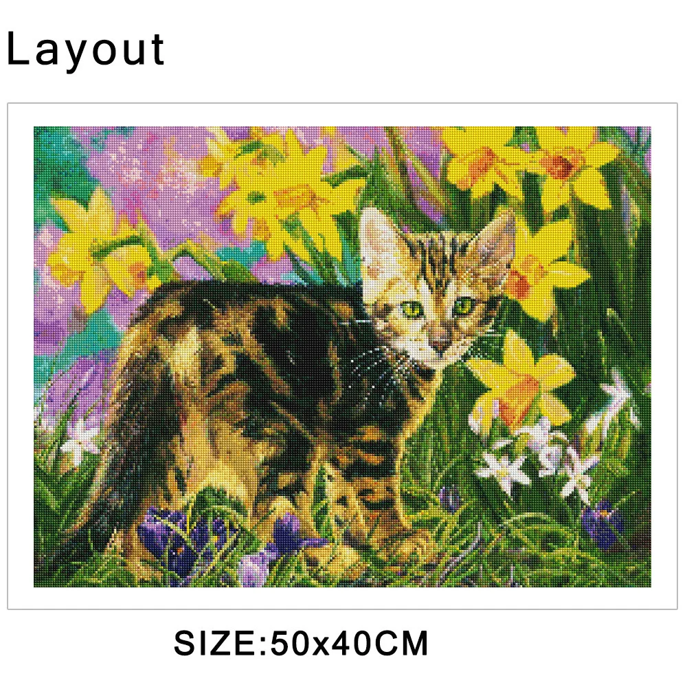 7 (2).jpg_.webp 7 (2).jpg_.webp