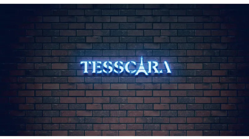 TESSCARA Женская осенне-зимняя дизайнерская Шерстяная Смесь длинная куртка пальто Высокое качество Женские Кожаные Замшевые Куртки Верхняя