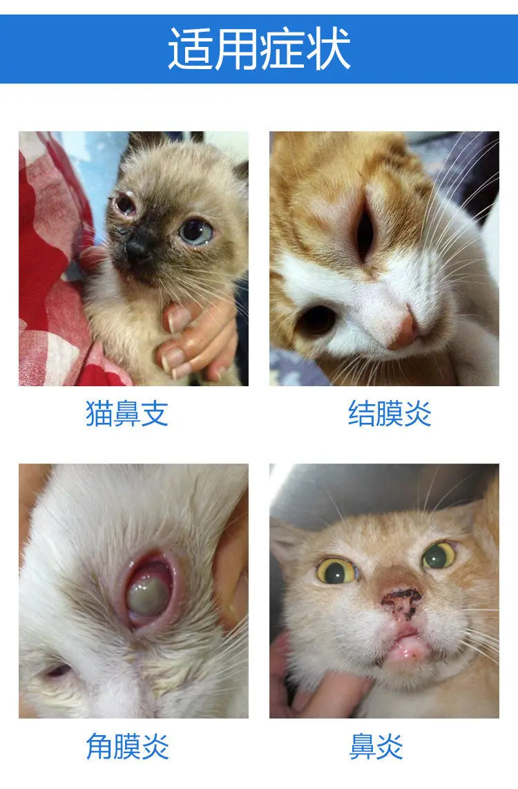 微信图片_20201217153636