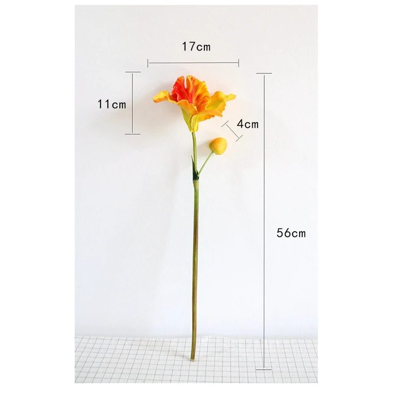 12394693966_1912732450