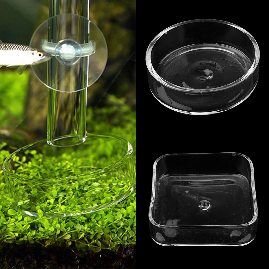 Transparent Fish Tank Shrimp Feeding Bowl Useful Aquarium Pet Food Water Tray Transparent Fish Tank Shrimp Feeding Bowl Useful Aquarium Pet Food Water Tray