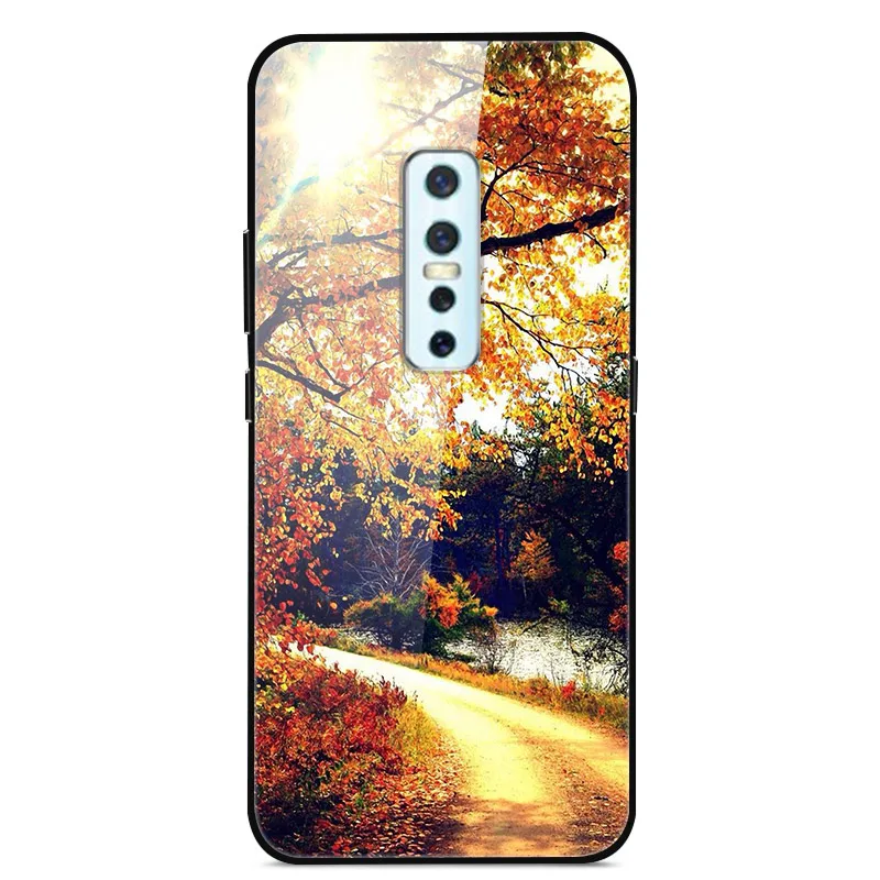 ДЛЯ Vivo V17 Pro Чехол закаленное стекло планета Космос крышка стеклянная задняя крышка для Vivo V17 Pro Coque оболочка для Vivo V17Pro V17 Pro - Цвет: 25