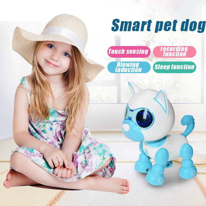 Electronic Toys