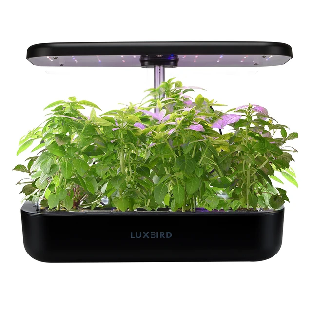 Teljes Spektrum Led Grow Világos Intelligens Kontroll Hidroponikus Növekvő Rendszer Inkbird Beltéri Gyógynövényvirág Kert Üvegházhatású Növények Növekedése - Image 2