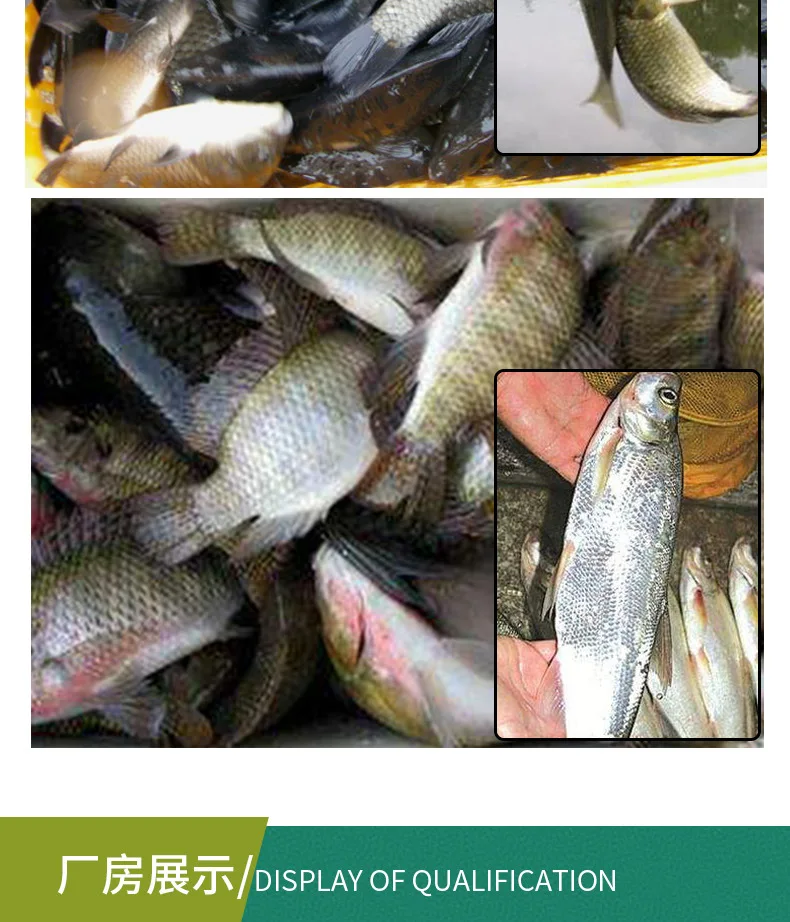 Приманка-пиявка со штоком Snakehead, длинная блесна с блестками, Topmouth Culter, предназначенная для уничтожения металлической приманки, приманка