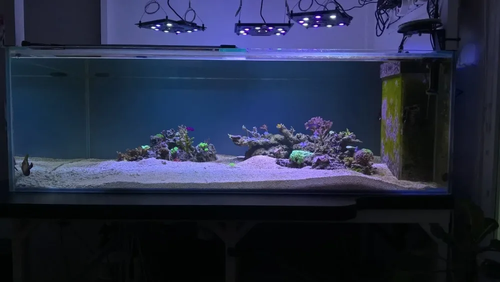 WP_20170415_20_09_48_Pro