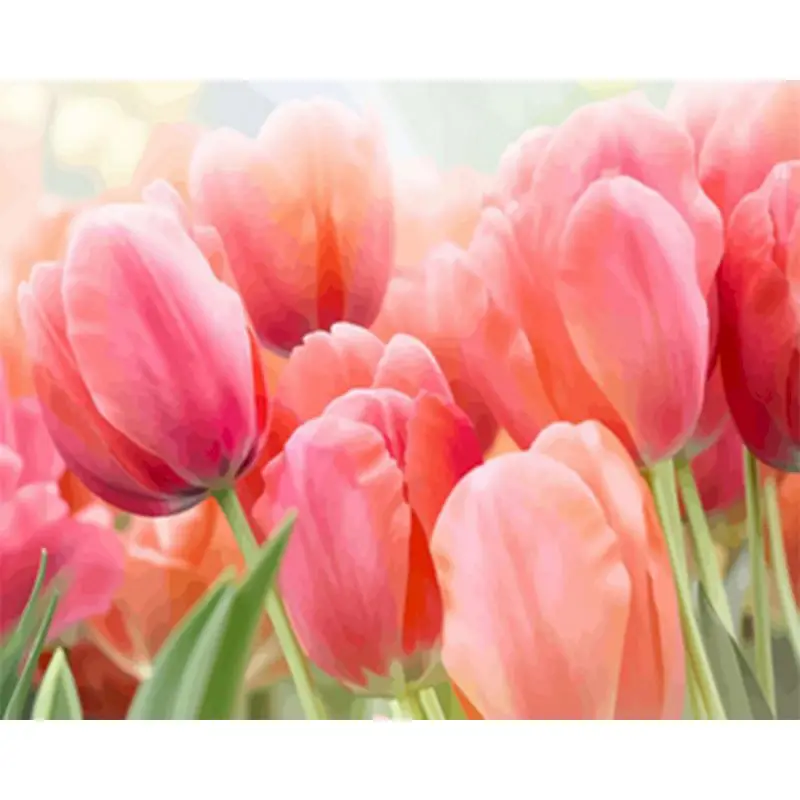 

Beautiful Oil Painting Flower Tulip Painting By Numbers Paint Flower DIY Modern Canvas Picture Hand Painted Home Decor Gift