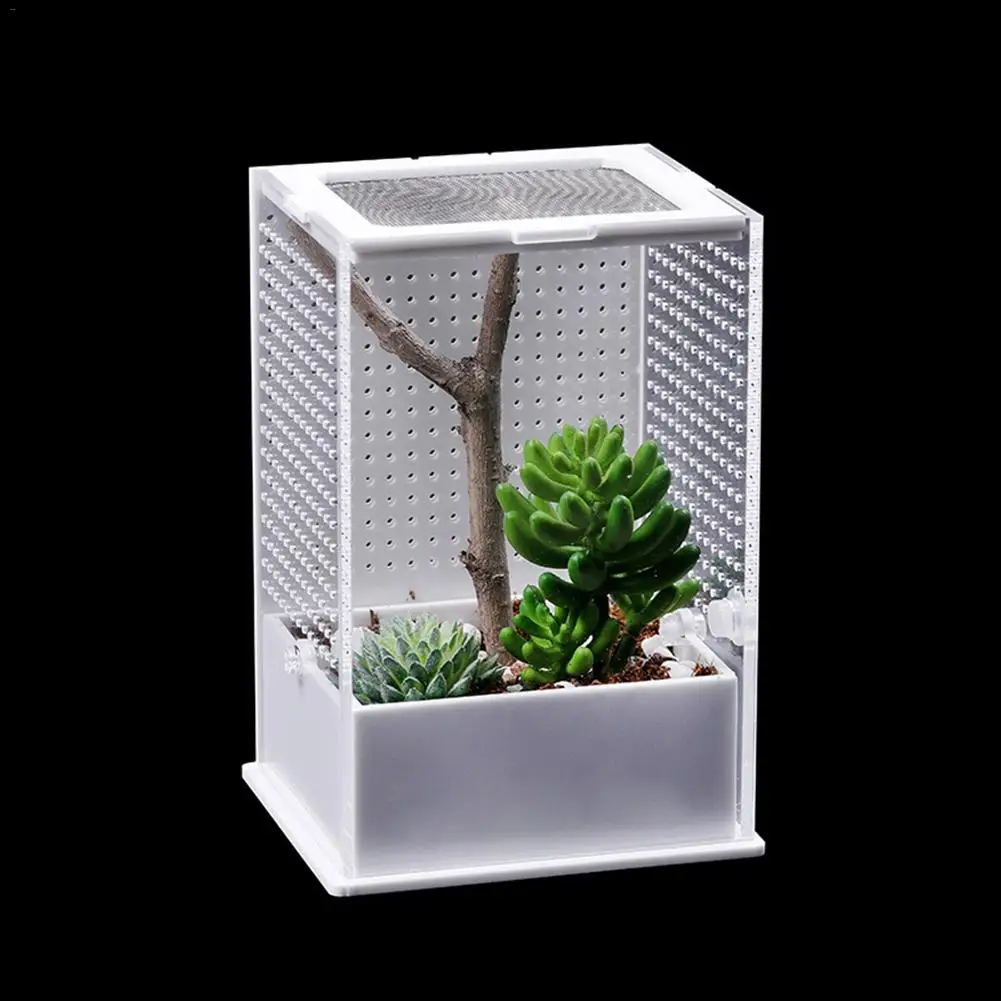AUGKUN Mantis акриловая миска для кормления малышей коробка разведения насекомых