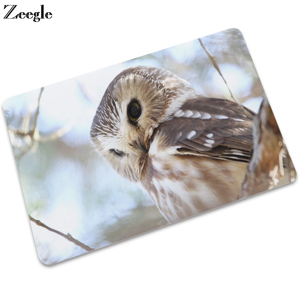 Zeegle Floor Mat Doormat Rubber Living Room Floor Rug Hallway Carpet Waterproof Door Mat Anti Slip Bathroom Doormat Shower Mat