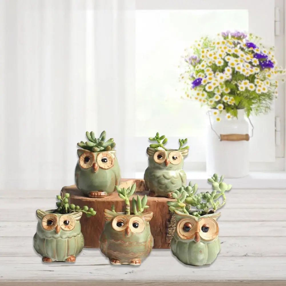 多色装飾の花瓶とフクロウの置物セット フクロウフラワーポットセラミックサボテン多肉植物ポット北欧