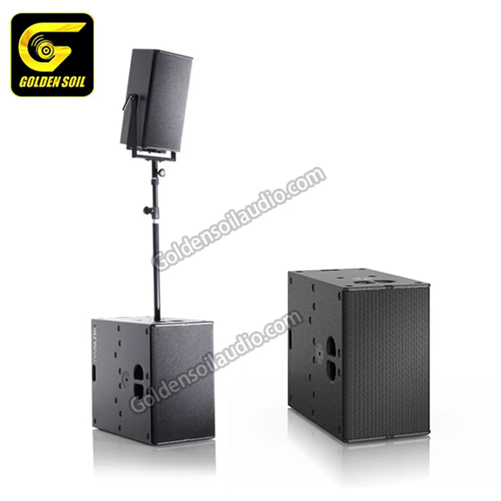 dual 12 inch speakers