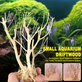 

Small Aquarium Driftwood Multifunction Landscaping Home Decor Turtles Reptiles Fish Tanks Crabs Arid Use Terrarium Environments