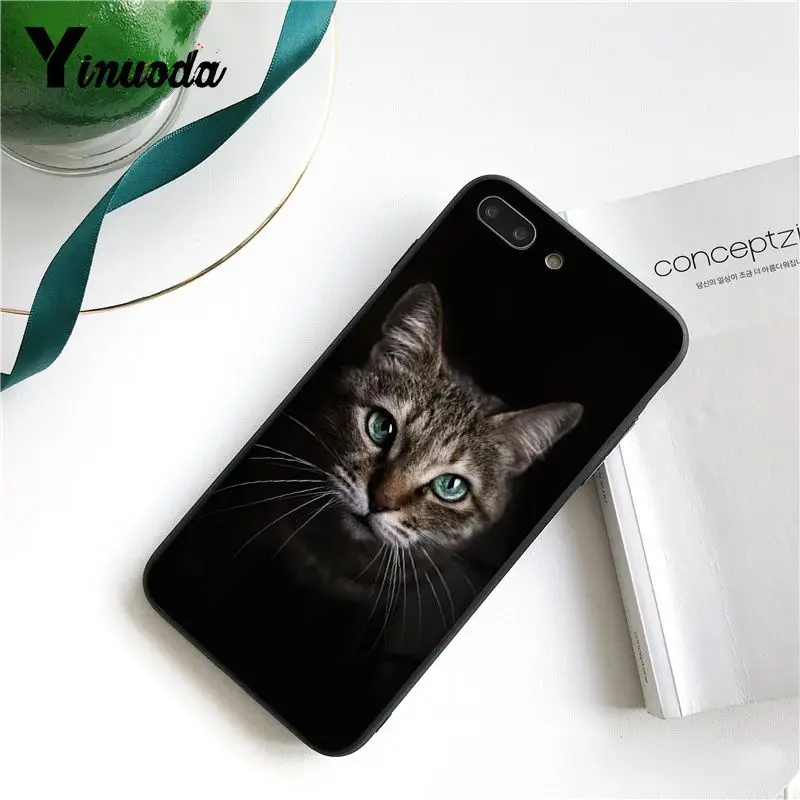 Cute Black Cat Staring Eyes