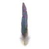 50Pcs/Lot Natural Color Rooster Feathers 6-8 Inch/15-20 CM Pheasant Chicken Feather for Crafts Jewelry Earring Making Plumes ► Photo 3/6