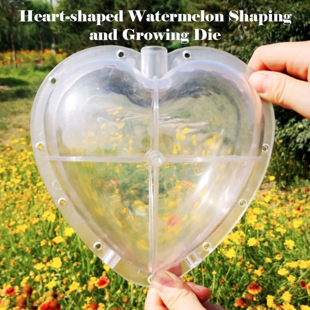 Heart-Shaped Watermelon Shaped Growth Mold Heart-Shaped Watermelon Molding Mold Heart-Shaped Watermelon Mold