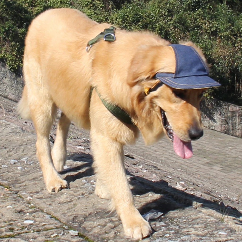 Denim Dog Sport Cap Baseball Cap Bucket Hat Sun Bonnet Visor Hat with Chin Strap, Cowboy Style