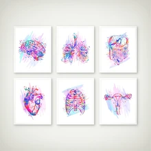 Анатомический принт анатомических органов плакат сердце головного мозга легкие печень таз ребра клетка человеческое изображение Анатомия живопись клиника Настенный декор
