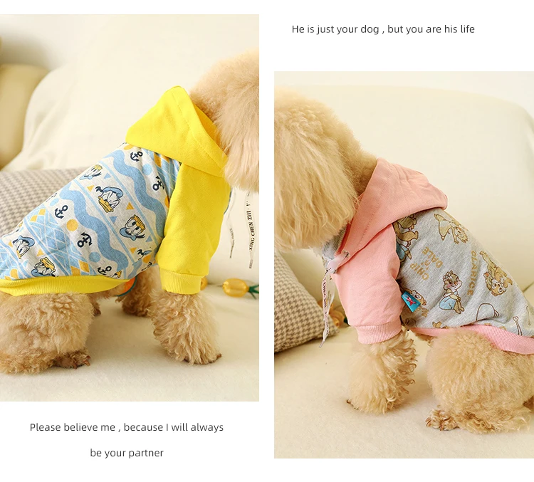 Spring and Autumn New Small and Medium Dogs Pet Cartoon Hoodie Trendy Clothes Dog Sweater Manufacturers Sales