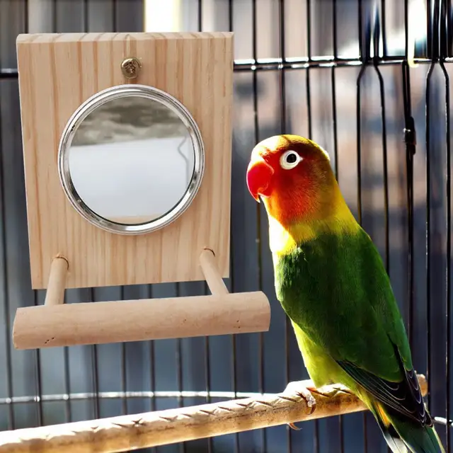 10 * 12 Cm Mirror Stand Pet Funny Parrot Bird Toy Mirror Toy Accessories  for Parrot Bird  Pet Parrot  Cage Pet Supplies