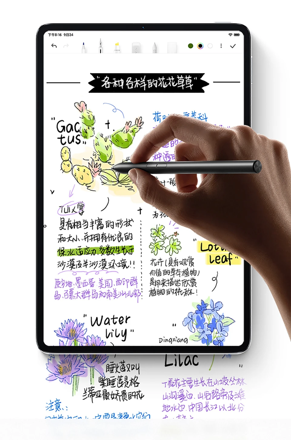 Xiaomi Tablet 5 Pro M870 - Global ROM, 6G+128G/8G+256G, 5G SIM, WIFI 6, 2.5K LCD Screen, Multi-Language Pad for Study/Office/Gaming Description Image.This Product Can Be Found With The Tag Names Computer Office, Language pad, Tablets